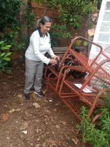 Os agentes comunitários de saúde eliminam possíveis criadouros do Aedes nas visitas às residências. 