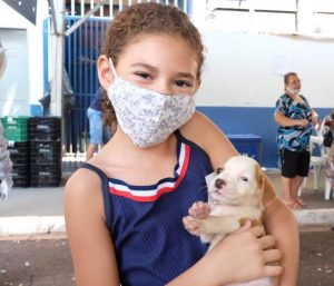 Sábado marca última edição do ano da feira de adoção de cães e gatos da Subea